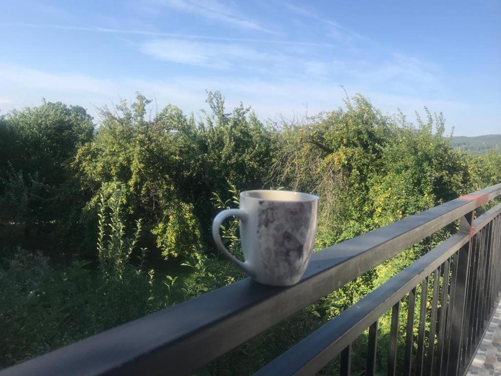 Green Nest Băneşti Zewnętrze zdjęcie
