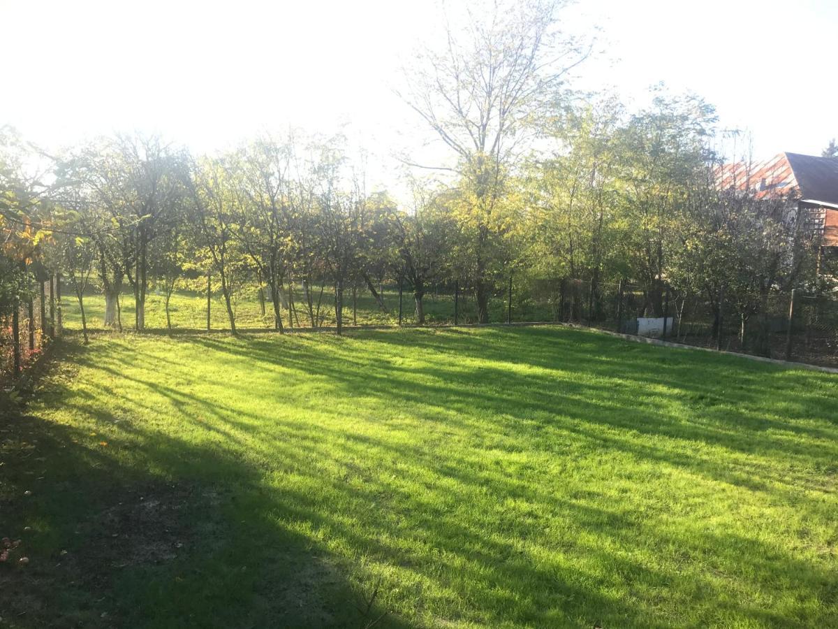 Green Nest Băneşti Zewnętrze zdjęcie