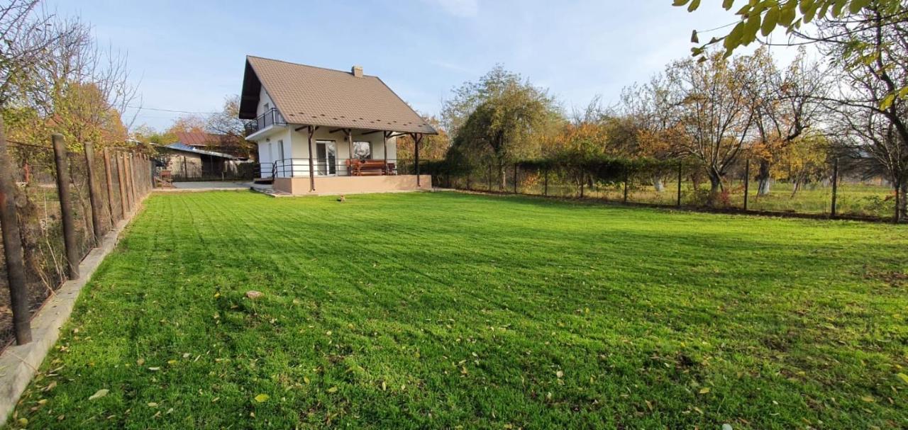Green Nest Băneşti Zewnętrze zdjęcie