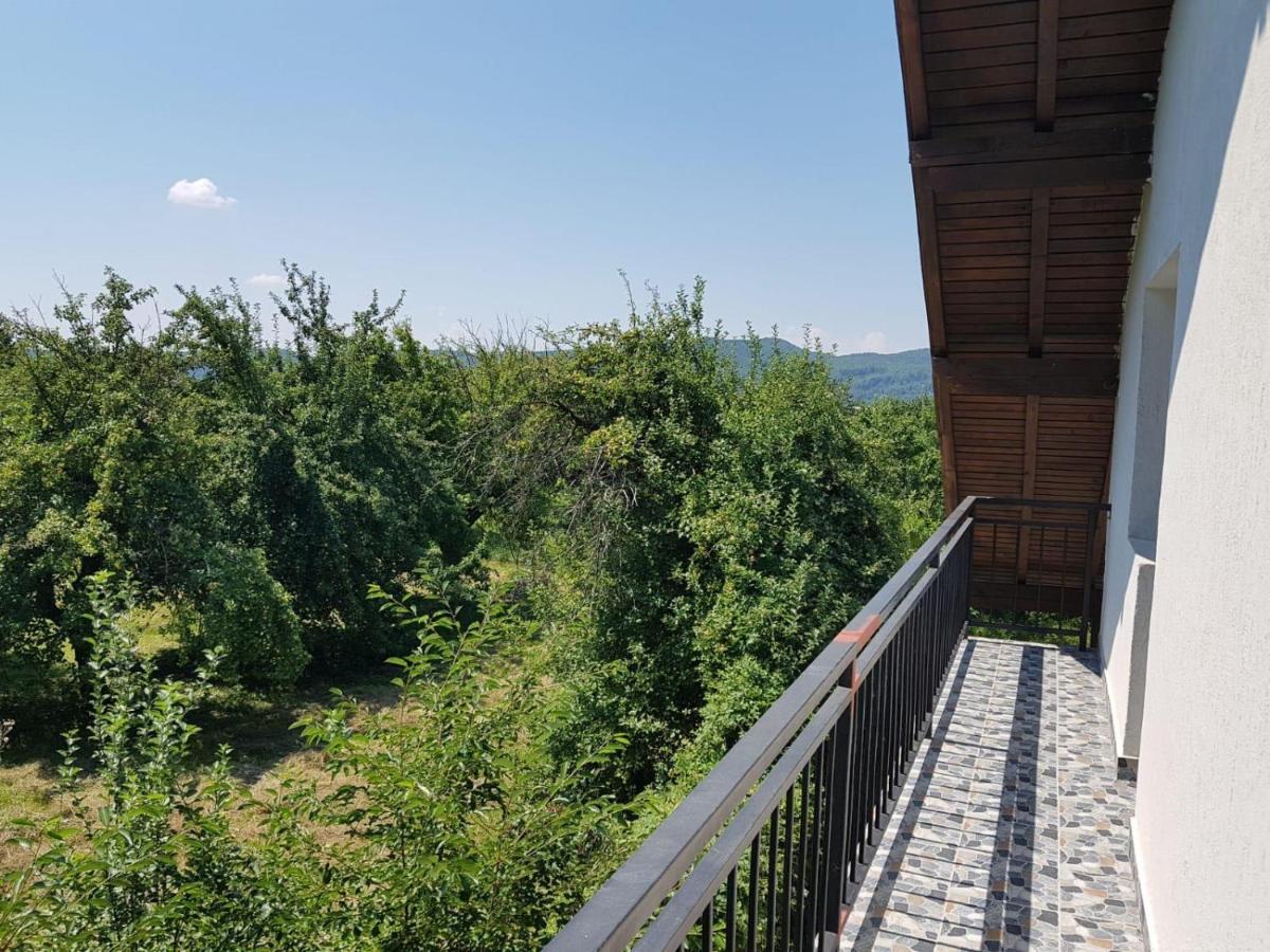 Green Nest Băneşti Zewnętrze zdjęcie