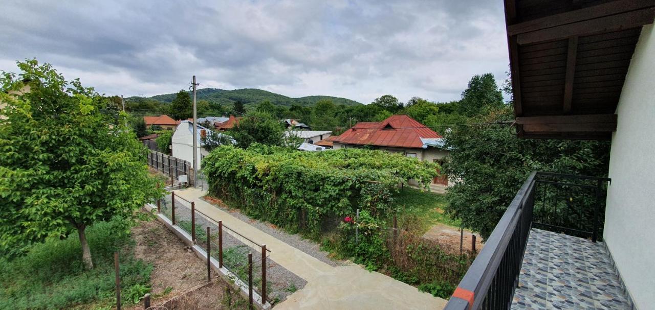 Green Nest Băneşti Zewnętrze zdjęcie